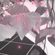 Image for article titled Now We Can Track Our Food Supply From Space